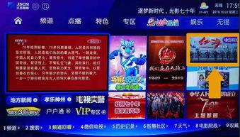 国产视频影院,国产视频影院的璀璨星空